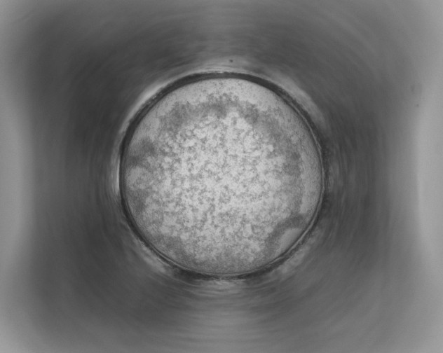 X0000111351224200907310945