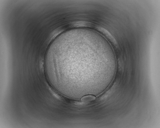 X0000111351225200907310945