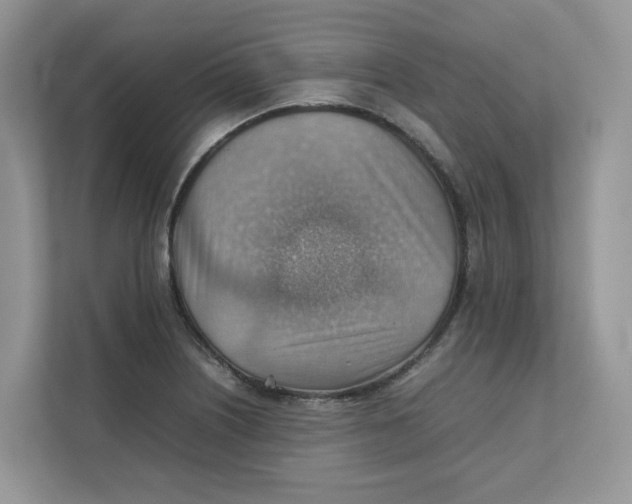 X0000111351226200907310945