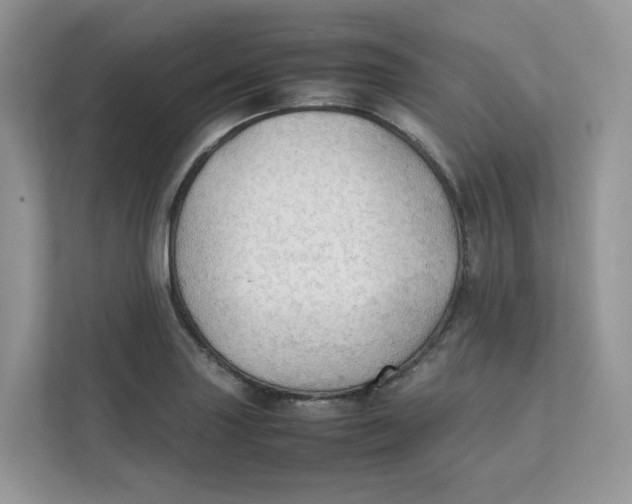 X0000111351227200907310945