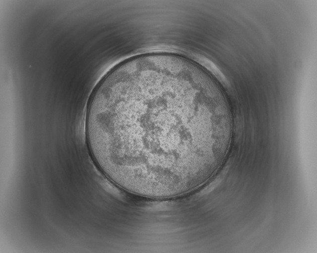 X0000111351228200907310945