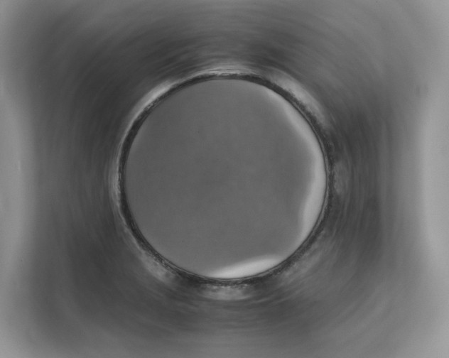 X0000111351229200907310945