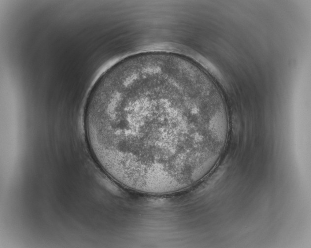 X0000111351230200907310945