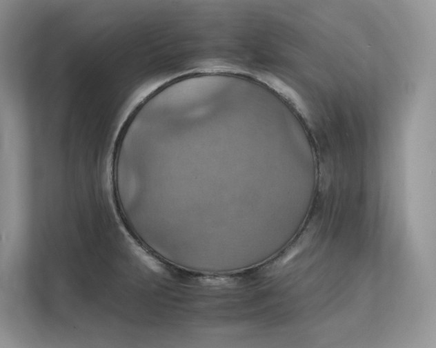 X0000111351231200907310945