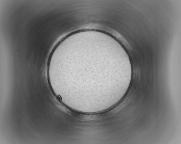 X0000111351232200907310945