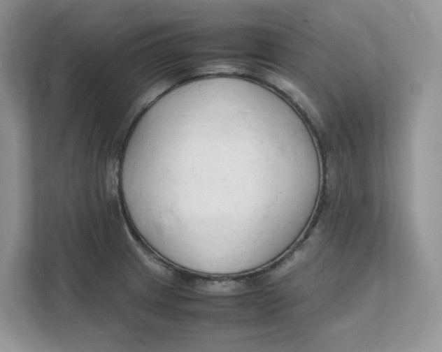 X0000111351233200907310945