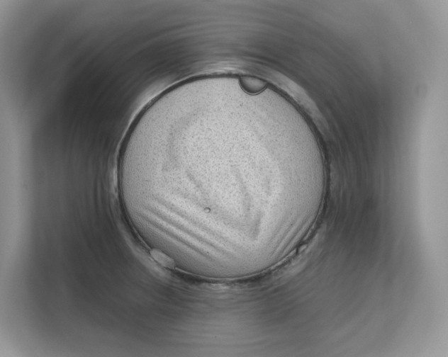 X0000111351234200907310945