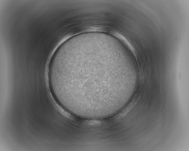 X0000111351235200907310945