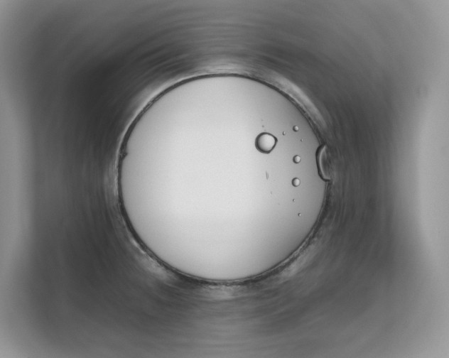 X0000111351236200907310945