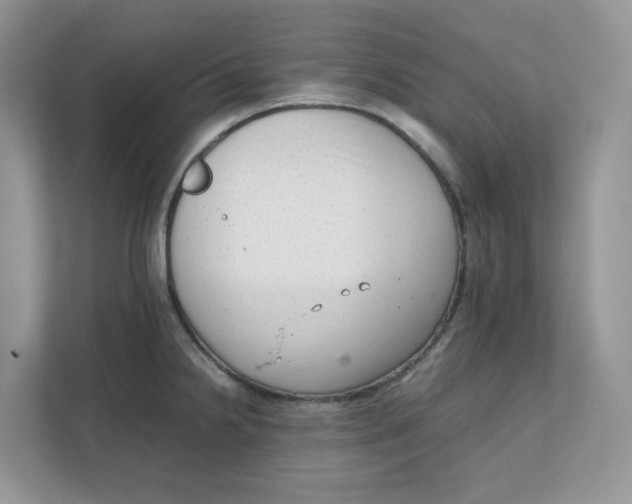 X0000111351238200907310945