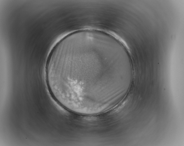 X0000111351239200907310945