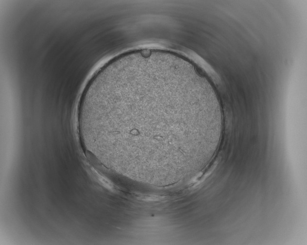 X0000111351240200907310945