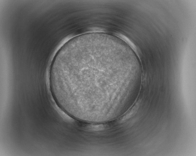 X0000111351243200907310945