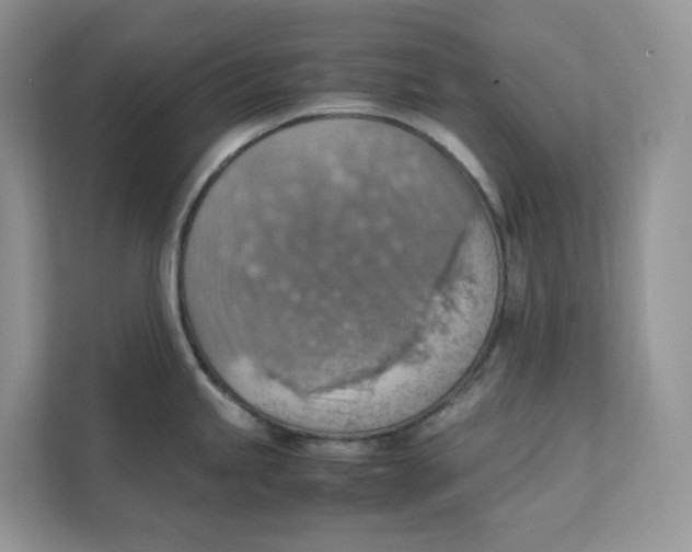 X0000111351245200907310945