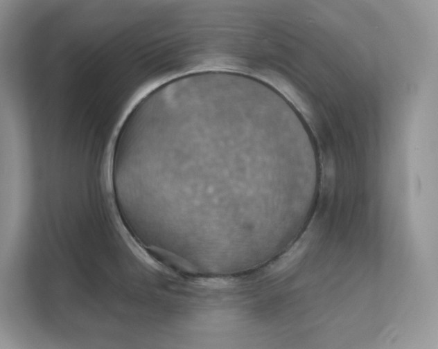 X0000111351246200907310945