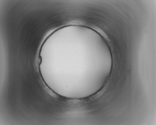 X0000111351248200907310945