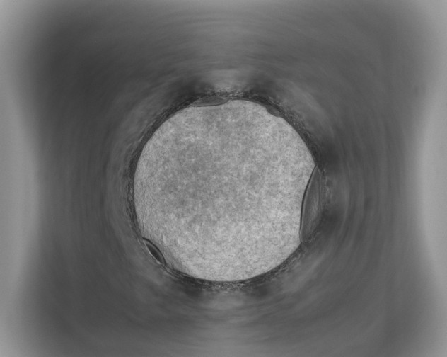 X0000111351249200907310945