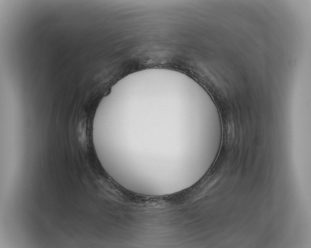 X0000111351250200907310945