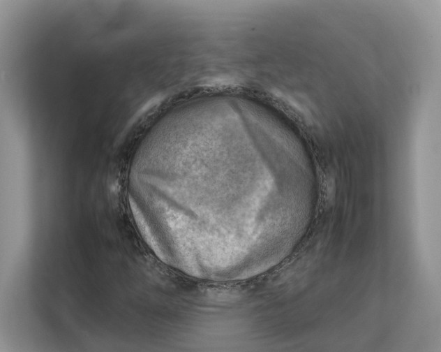 X0000111351254200907310945