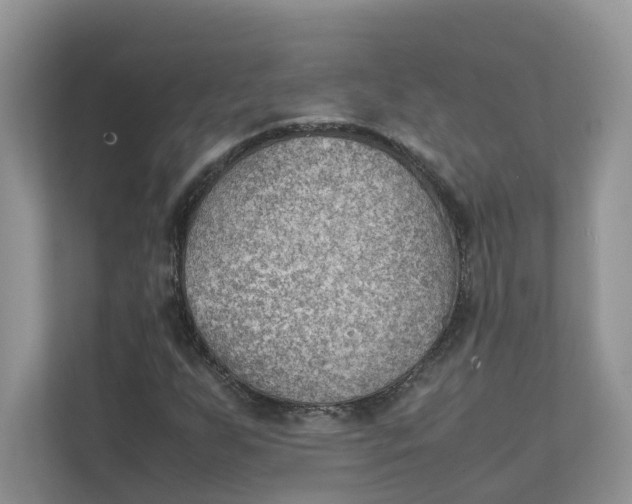 X0000111351255200907310945