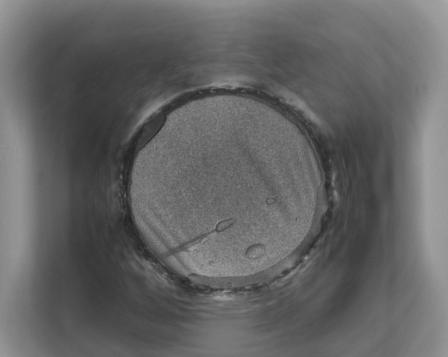 X0000111351256200907310945