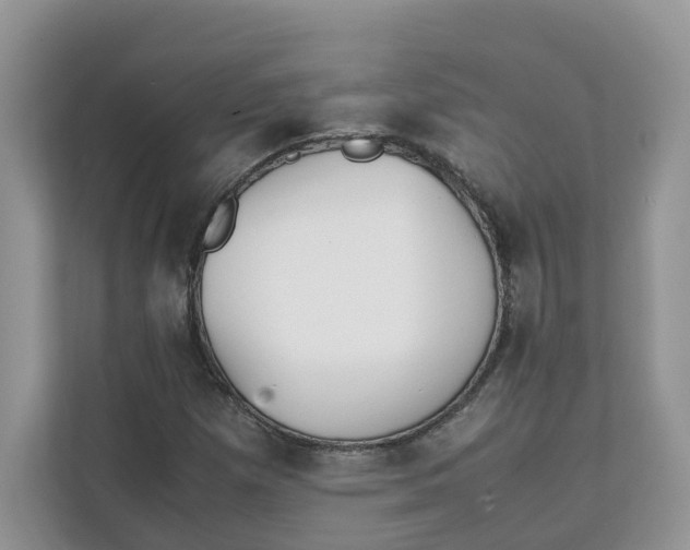 X0000111351257200907310945