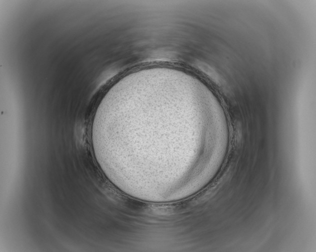 X0000111351258200907310945