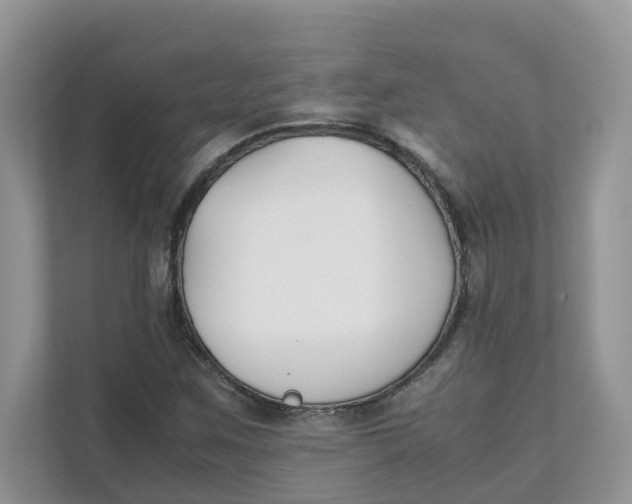 X0000111351259200907310945