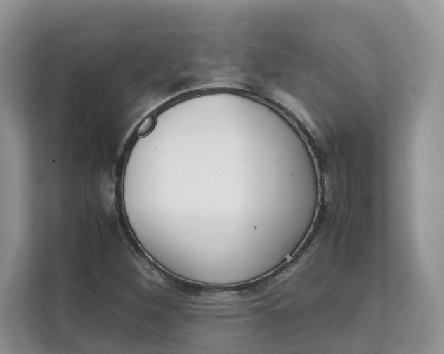 X0000111351260200907310945