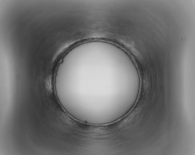 X0000111351262200907310945