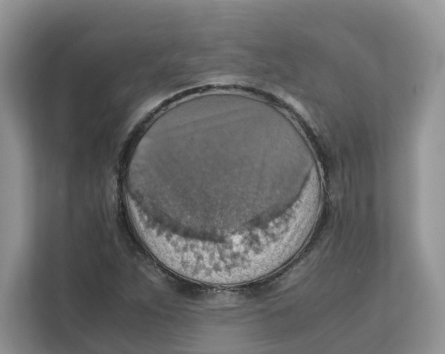 X0000111351263200907310945