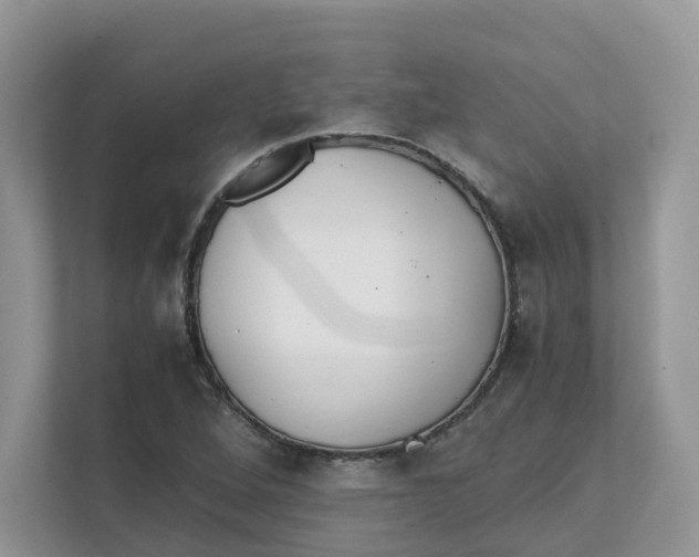 X0000111351264200907310945