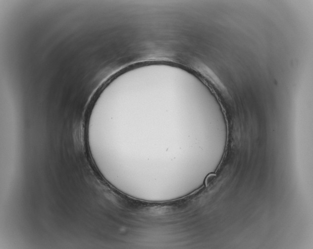 X0000111351268200907310945