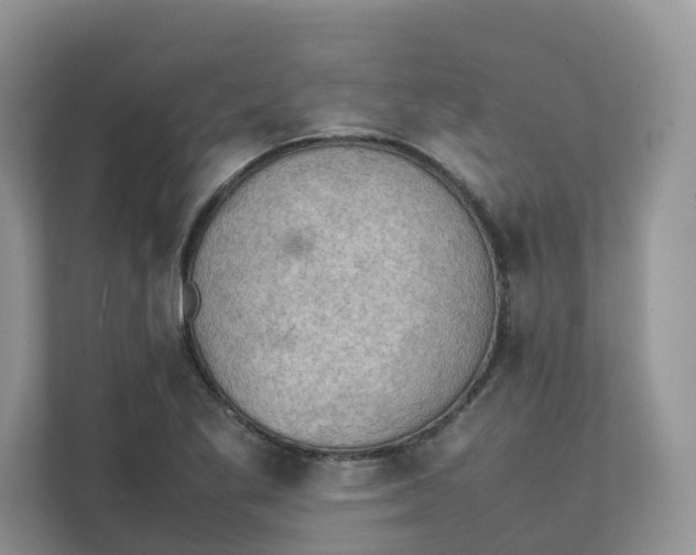 X0000111351269200907310945