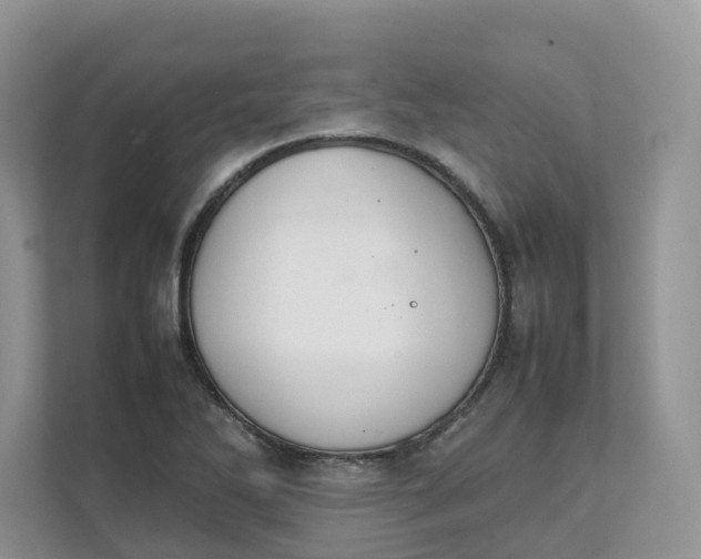 X0000111351270200907310945