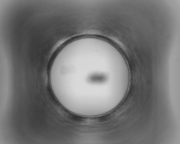 X0000111351271200907310945