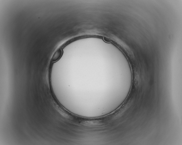 X0000111351272200907310945