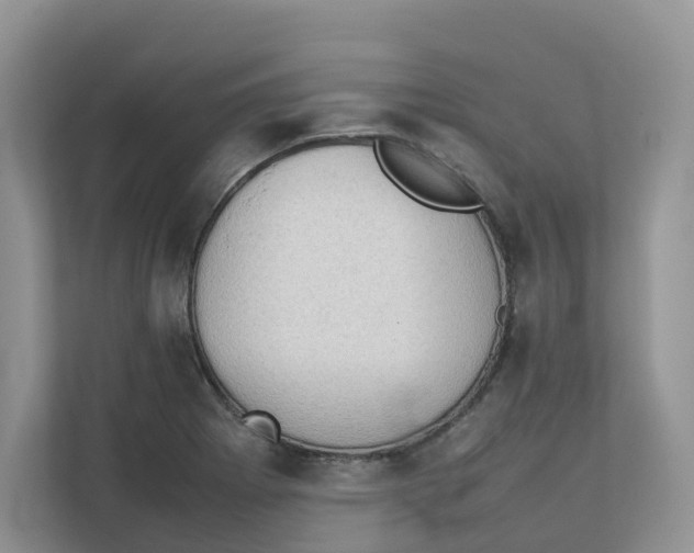 X0000111351273200907310945