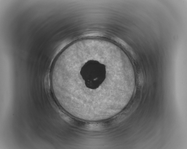 X0000111351274200907310945