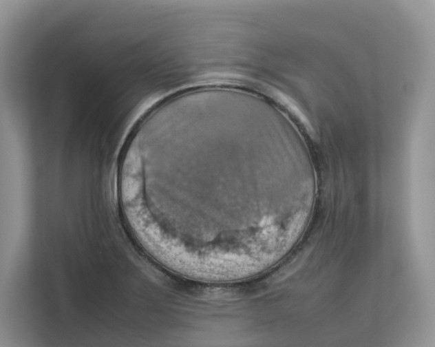 X0000111351275200907310945