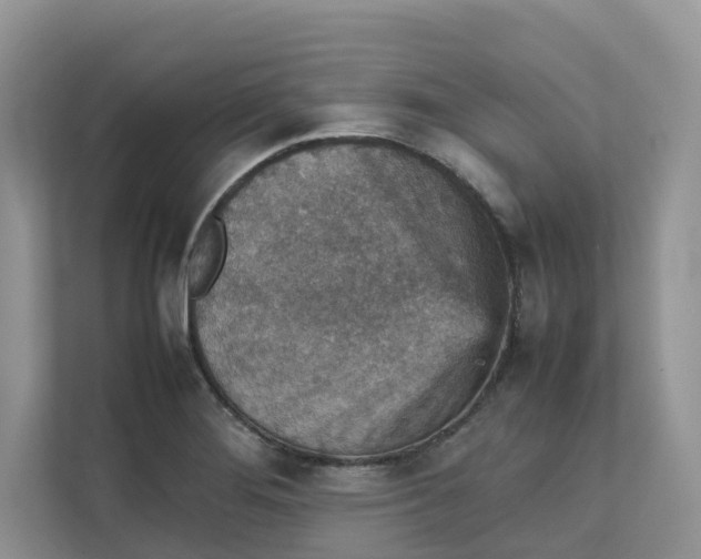 X0000111351276200907310944