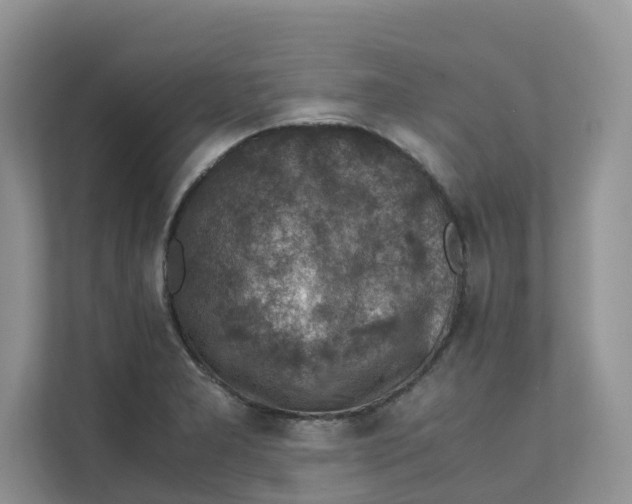 X0000111351277200907310944