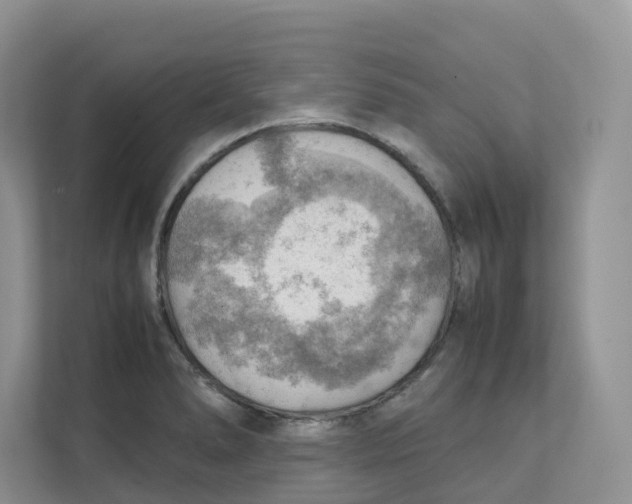 X0000111351278200907310944