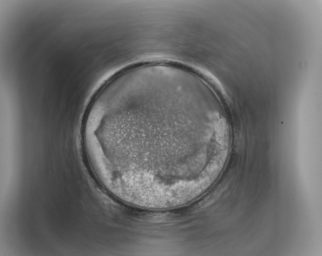 X0000111351279200907310944