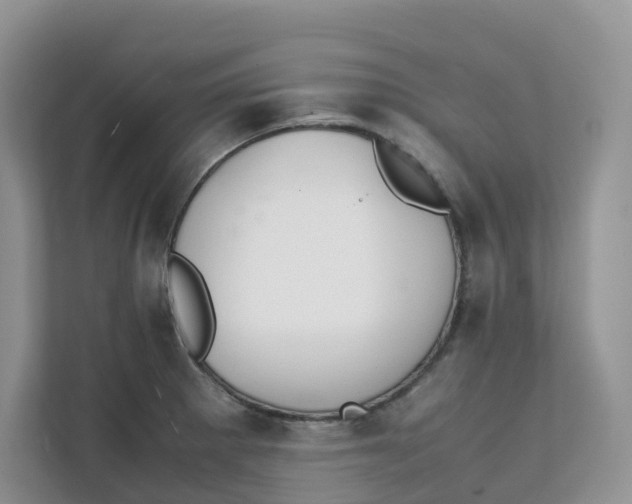 X0000111351281200907310944