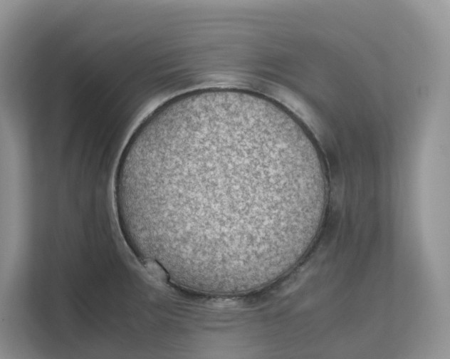 X0000111351283200907310944