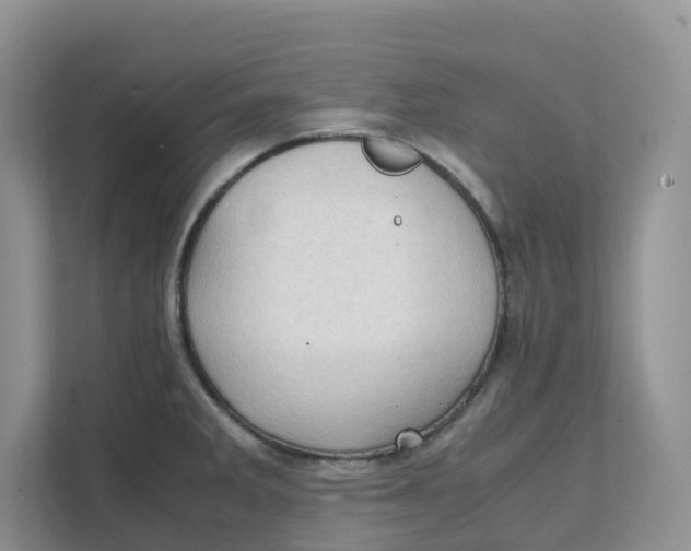 X0000111351285200907310944