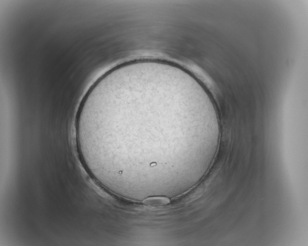 X0000111351287200907310944