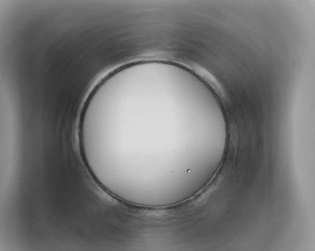 X0000111351288200907310944