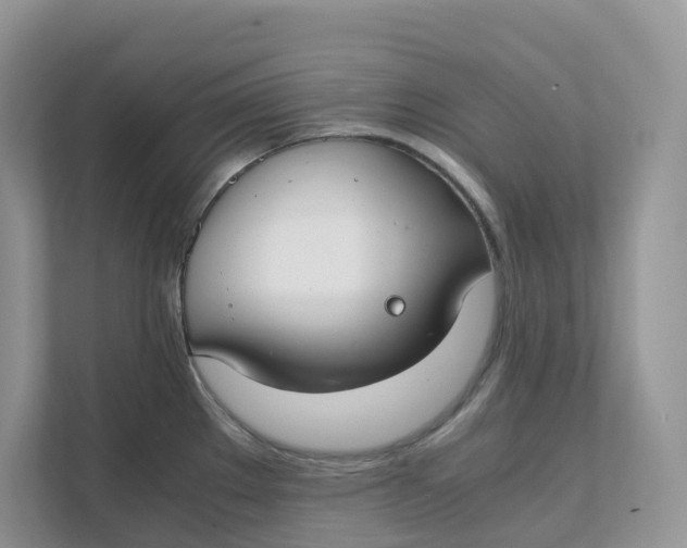 X0000111351289200907310944